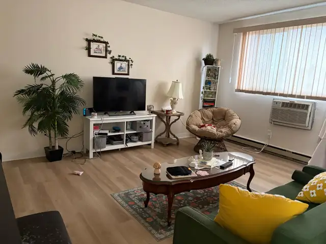 1 Bedroom 1 Bathroom Apartment