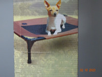 Pet  Cot  Dogs/Cats
