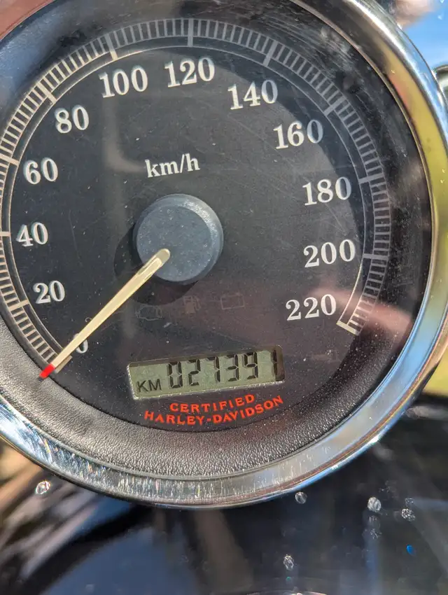 1200 CC Stage 2 Sportster in Street, Cruisers & Choppers in Kawartha Lakes - Image 8