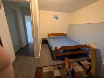 We have a wonderful downstairs room for rent. Comes furnished with your own mini fridge. Share downs...