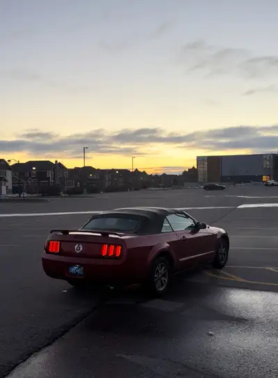 Up for sale is my 05' convertible Mustang 4.0. This car is an extremely rare find given its specific...