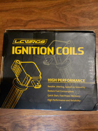 LCWRGS Honda Ignition coils