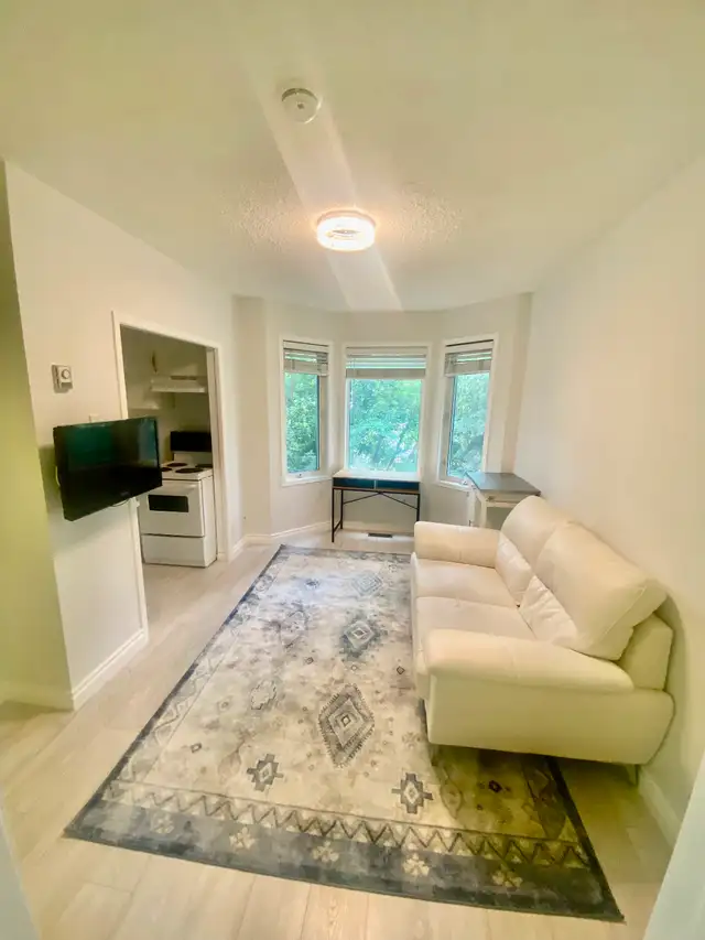 NAIT/Kingsway/Furnished 1 BDR APT/Monthly or Longterm