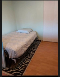 Room for rent in Guildford Surrey