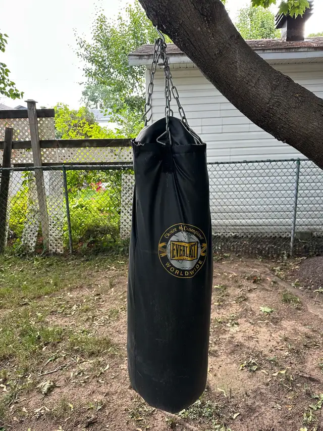 Everlast Boxing Bag526212289675939841