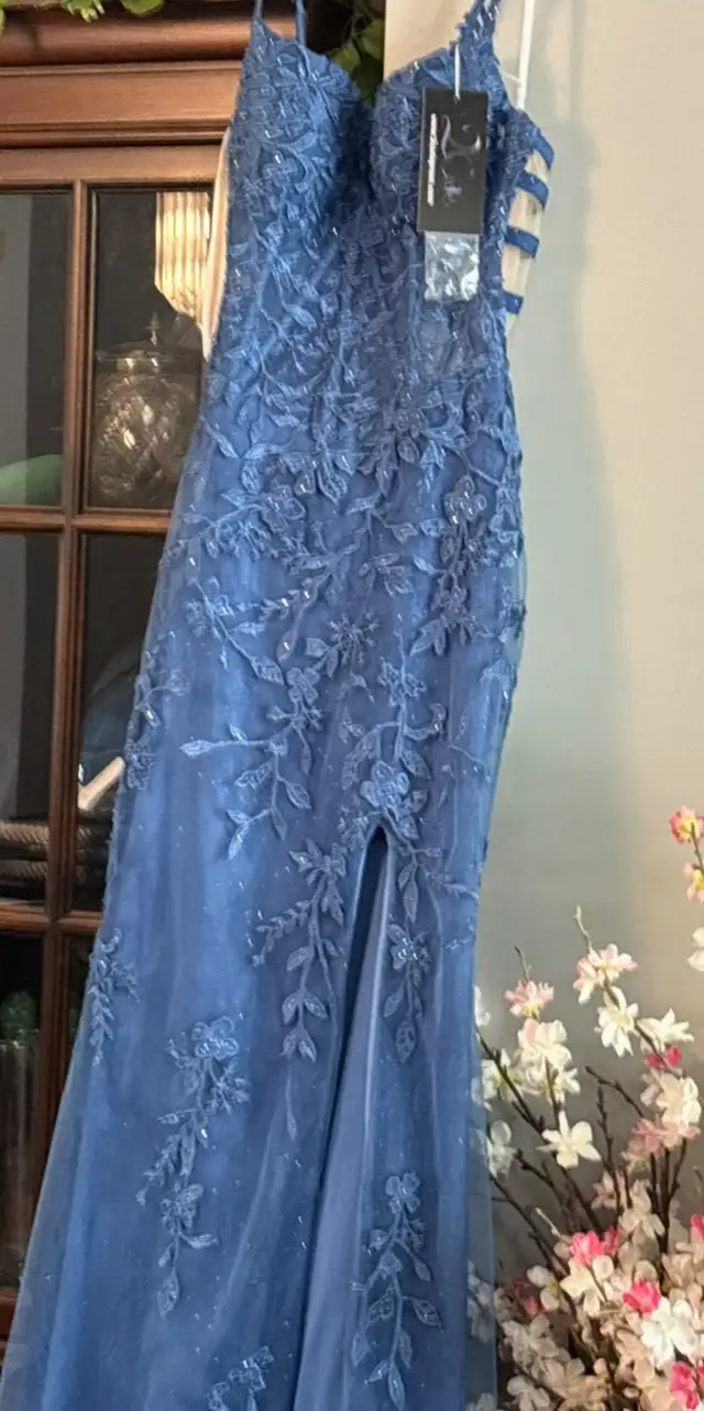 grad/prom dress | Women's - Dresses & Skirts | Winnipeg | Free local ...