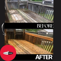 Painting and Staining Services
