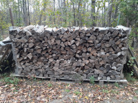 Firewood