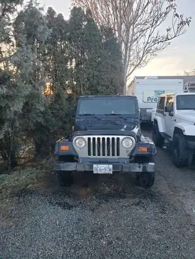 My old girl has some top end issues. Half the valves aren't getting oil and now she's pretty clacky....