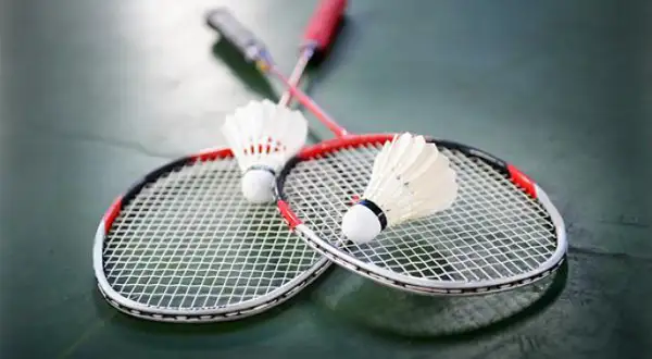 *** Badminton group lessons ***64241778689026120