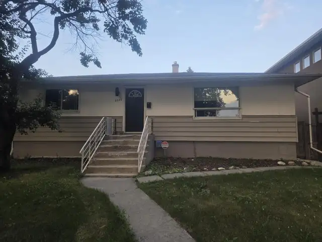 Looking for a roommate