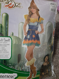 Brand new never worn costumes wizard of oz, Disney princess ect