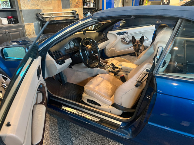2001 BMW 325i convertible in Cars & Trucks in Calgary - Image 3