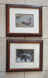 2 Robert Bateman Book Prints with Frames - 14.5" X 12.5"