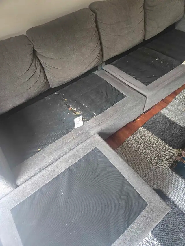 DEEP CLEANING SERVICES (613) 501-0354. 63804732766721123