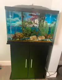 Aquarium Fish Tank System with Stand - 20 Gallon