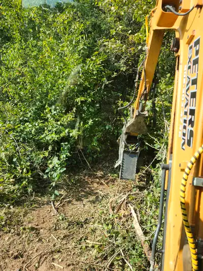 We Offer endless Opportunity from Tree and stump removal Dozer Excavation Post holes 9 12 18 20 inch...