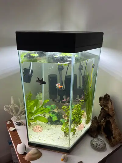 Selling 20 gal fish tank complete with two fancy goldfish, plants, decorations, two filters, filter...