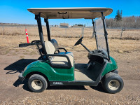2018 Yamaha Drive 2 Electric Golf Cart