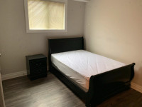 Student Rooms w/own bathroom. Available Now.