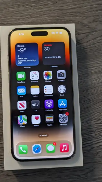 Gold iPhone 14 Pro Max 256GB, View more