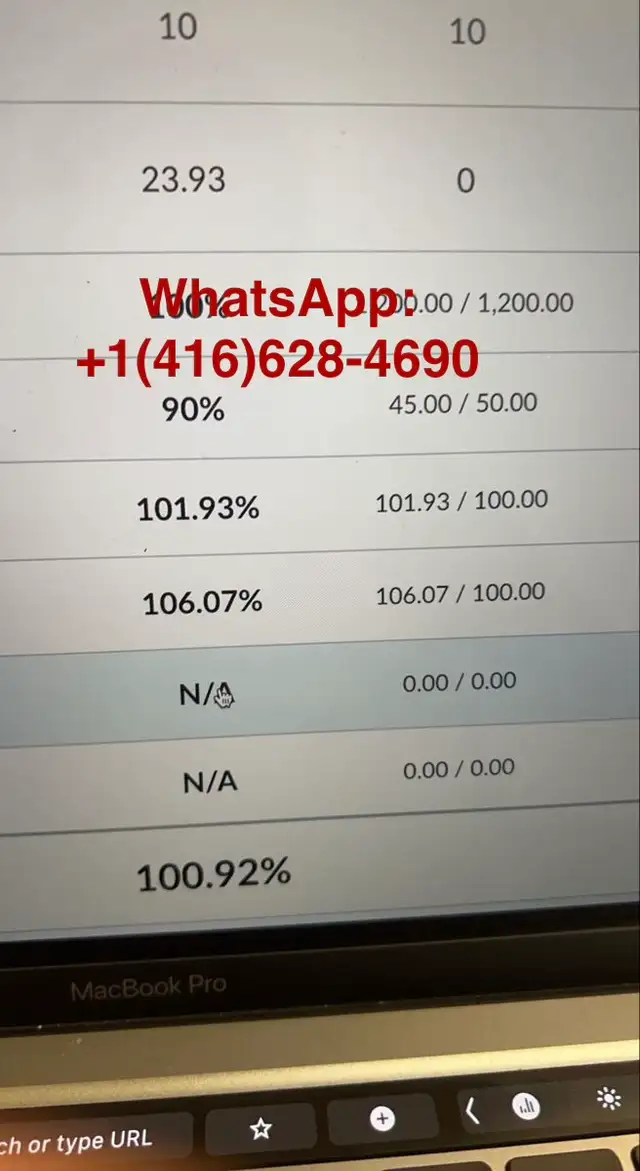 Essay Writing Assignment Help for ILC Students | All Courses in Classes & Lessons in Oshawa / Durham Region - Image 4