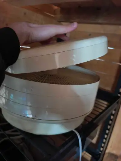 Make beef jerky.