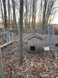 Dog house and Pen