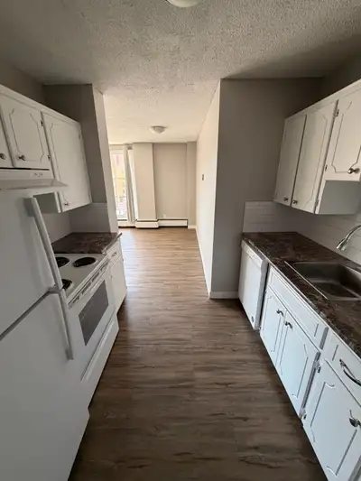 Looking for a roommate to join me in my 2 bedroom apartment in the Beltline! Everything but electric...