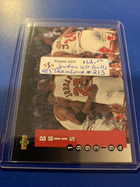 1993-94 Upper Deck Jordan Bulls Team NBA Card #213 Showcase 267