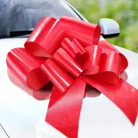 Zoe Deco Large Red 30 inch Car Bow