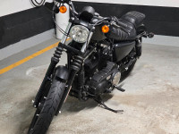 2019 Harley-Davidson XL883N Sportster Iron 883