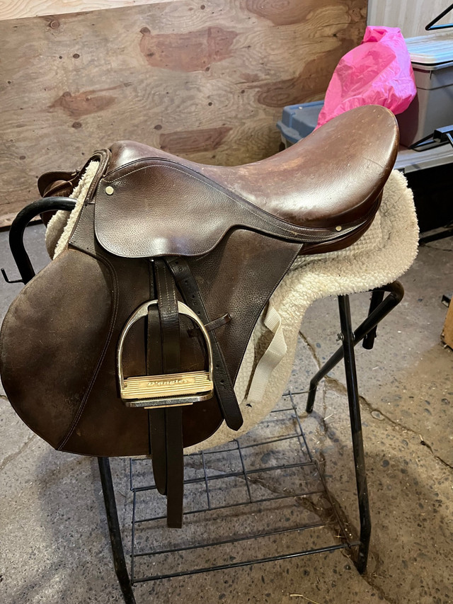  English Saddle   in Horses & Ponies for Rehoming in Kawartha Lakes