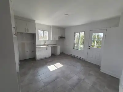 Appartement rénové 2 chambres - Montréal - Hochelaga