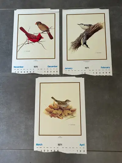 Vintage 1970 & 1971 Calendar Prints J.F. Lansdowne Birds, View more
