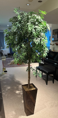 Beautiful Faux Tree / Artificial house plant