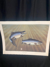 Tom Spatafore Salmon Print