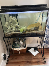 29 gallon aquarium with fish