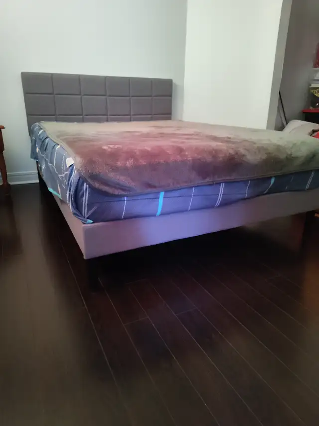Plateforme de lit in Beds & Mattresses in Laval / North Shore - Image 2