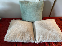 3 Large Plush Cushions for $20 for all