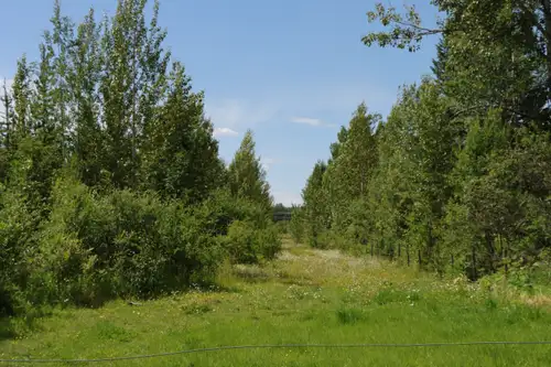 21.16 subdividable acres with access from Ritchie Road. Bordering Barlow Creek this property offers...