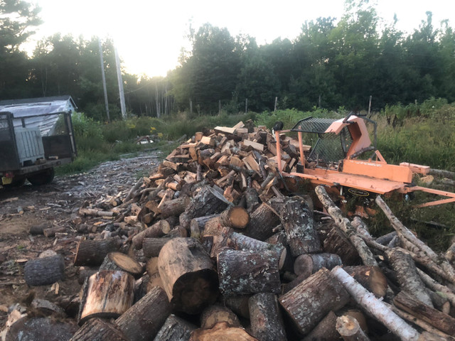 Maple/birch/hemlock/elm firewood in Fireplace & Firewood in Bridgewater