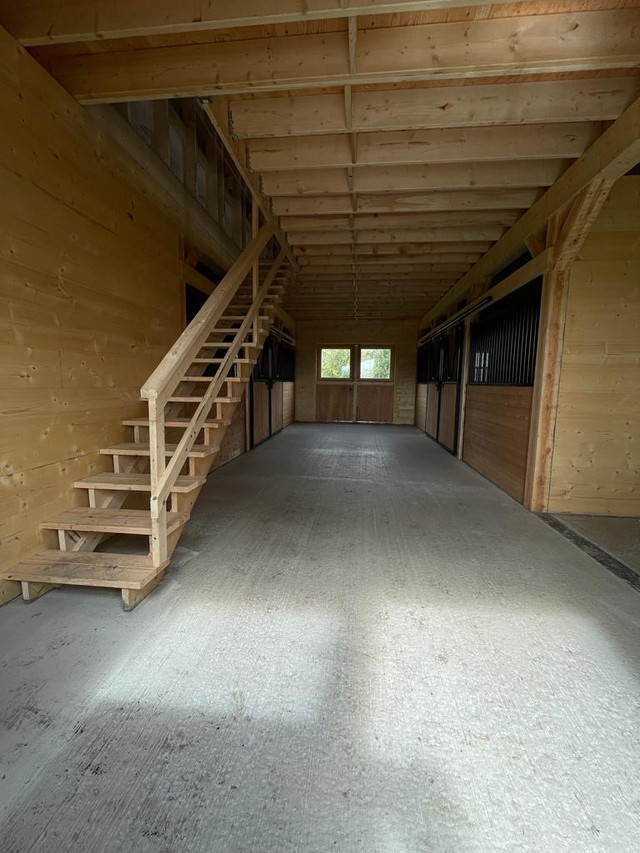 Horse Barn, In Production, Delivery Available Soon ! in Horses & Ponies for Rehoming in Swift Current - Image 3