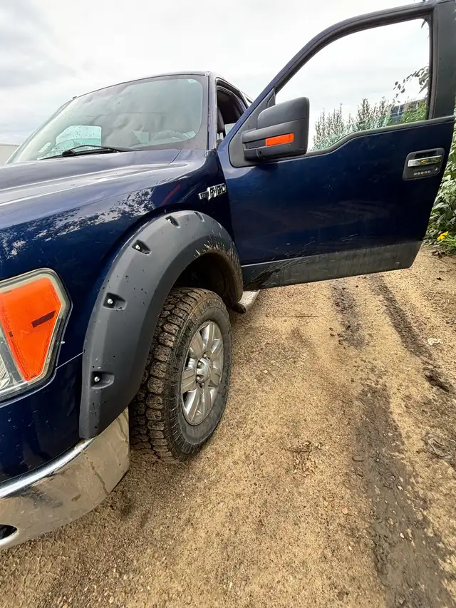 2009 Ford F150 XLT525767036791040008