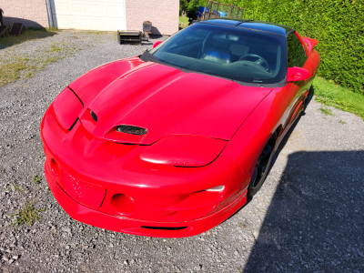 1999 pontiac trans am firehawk slp