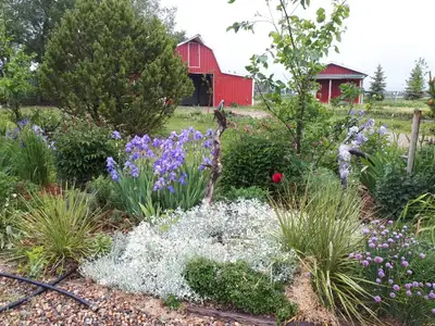 Lovely country acreage home for rent