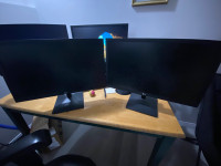 LG monitors (Can be sold separately)