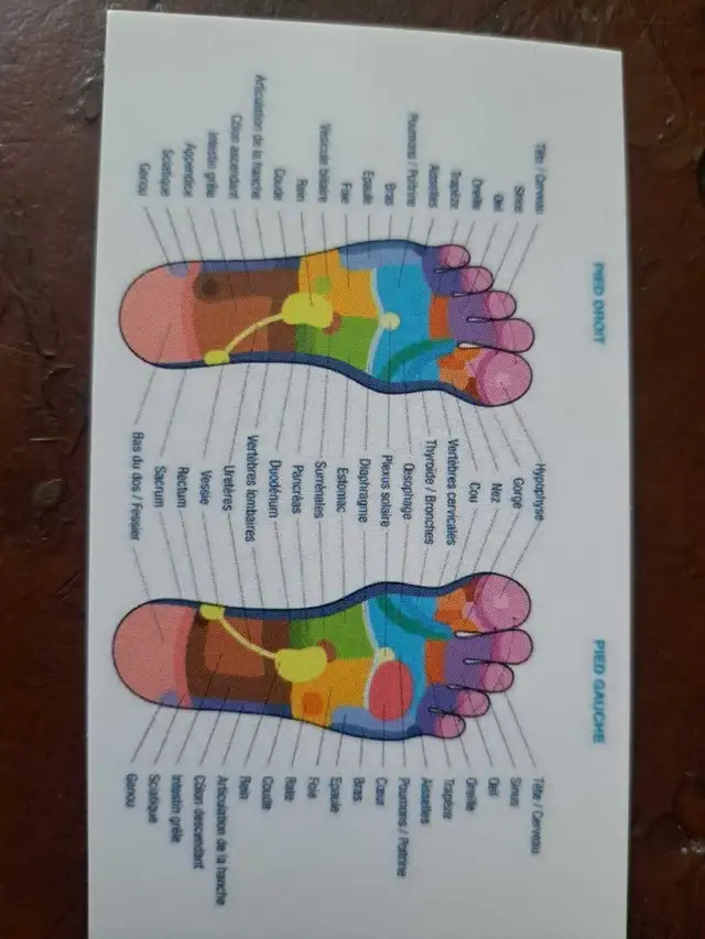 Reflexology/Massage Therapy64141824858498120