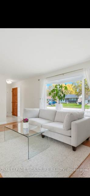 Quality Sofa, Coffee Table, Money Plant, View more
