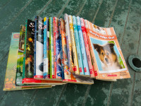 Great Lot of Primary early Junior Dog Novels